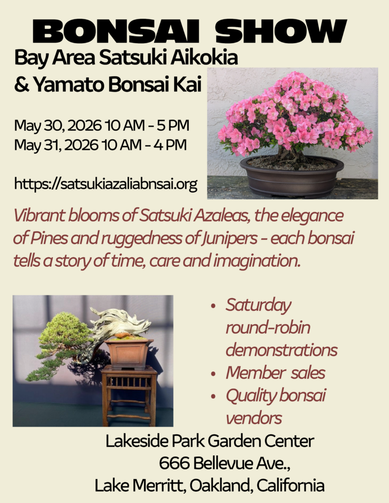 響 やまかきページ 2026 Bonsai Show – Bay Area Satsuki Aikokai